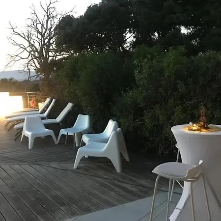 Willa Pierre Santoni *